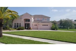 10709 Cory Lake Dr, TAMPA