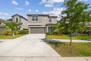 9440 Lemon Drop Loop, SUN CITY CENTER