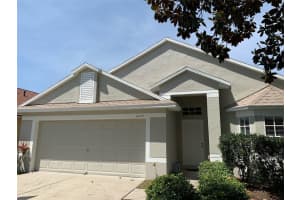 11147 Rodeo Ln, RIVERVIEW