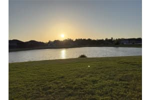 19514 SEA MYRTLE WAY, TAMPA, FL 33647 - MLS#MFRTB8400060