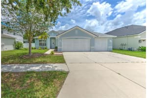 11336 Callaway Pond Dr, RIVERVIEW