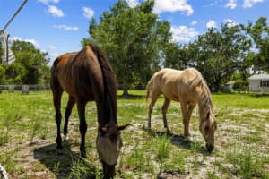 2221 LAKE DRIVE, WIMAUMA, FL 33598 - MLS#MFRTB8400121