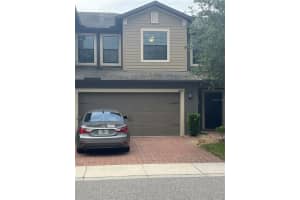 17361 Old Tobacco Rd, LUTZ