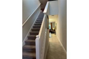 17361 OLD TOBACCO ROAD, LUTZ, FL 33558 - MLS#MFRTB8400172