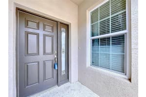 11212 PORT DOUGLAS DRIVE, NEW PORT RICHEY, FL 34654 - MLS#MFRTB8400181