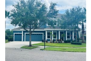 8332 Swiss Chard Cir, LAND O LAKES