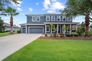 8332 SWISS CHARD CIRCLE, LAND O LAKES, FL 34637 - MLS#MFRTB8400204