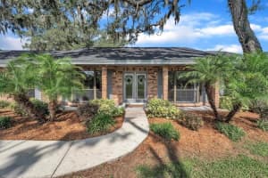 302 OLD MULRENNAN ROAD, VALRICO, FL 33594 - MLS#MFRTB8400212