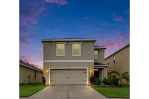 11019 Leland Groves Dr, RIVERVIEW