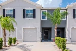 34252 REDWOOD DAWN LANE, WESLEY CHAPEL, FL 33543 - MLS#MFRTB8400263
