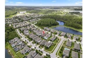 11881 RANCHERS GAP DRIVE, ODESSA, FL 33556 - MLS#MFRTB8400269