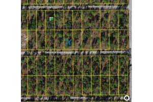 454605 GERANIUM AVENUE, DUNNELLON, FL 34431 - MLS#MFRTB8400302