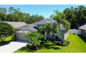 14427 PEPPERPINE DRIVE, TAMPA, FL 33626 Sold 08/14/25