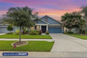 13352 PALMERA VISTA DRIVE, RIVERVIEW, FL 33579 - MLS#MFRTB8400322
