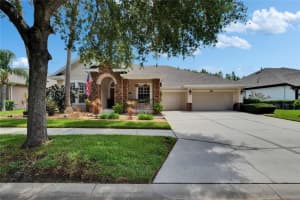8704 WINSOME WAY, LAND O LAKES, FL 34637 - MLS#MFRTB8400336