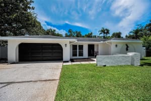 3411 GLOSSY IBIS COURT, PALM HARBOR, FL 34683 Sold 08/15/25