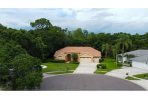 1827 FOXBORO COURT, OLDSMAR, FL 34677 Sold 10/15/25
