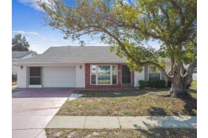 11611 BEAR PAW LANE, PORT RICHEY, FL 34668 - MLS#MFRTB8400433