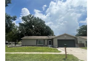 12908 LEADWOOD DRIVE, RIVERVIEW, FL 33579 - MLS#MFRTB8400435