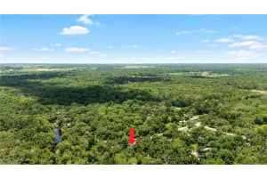 34147 RINGWALT DRIVE, DADE CITY, FL 33523 - MLS#MFRTB8400463