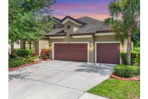 13821 Moonstone Canyon Dr, RIVERVIEW