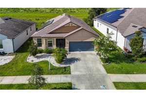 11703 BRIGHTON KNOLL LOOP, RIVERVIEW, FL 33579 - MLS#MFRTB8400473