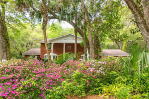 11159 CINDY DRIVE, BROOKSVILLE, FL 34601 - MLS#MFRTB8400486