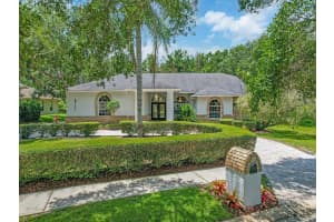 8711 CRESCENT FOREST BOULEVARD, NEW PORT RICHEY, FL 34654 - MLS#MFRTB8400517