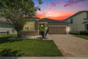 12322 Eagle Swoop Pl, RIVERVIEW