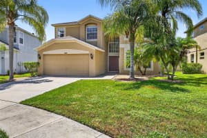 19028 NARIMORE DRIVE, LAND O LAKES, FL 34638 - MLS#MFRTB8400554
