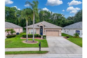 12200 HUNTERS LAKE DRIVE, NEW PORT RICHEY, FL 34654 - MLS#MFRTB8400571