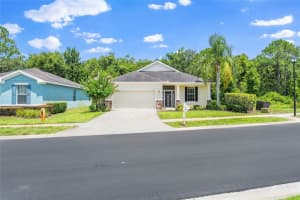 11144 Paradise Point Way, NEW PORT RICHEY