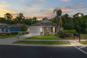 11144 PARADISE POINT WAY, NEW PORT RICHEY, FL 34654 - MLS#MFRTB8400574