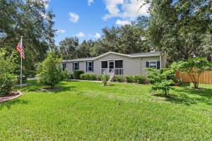 33918 Coddle Court Ct, WESLEY CHAPEL