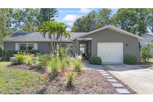 2850 DOONE CIRCLE, PALM HARBOR, FL 34684 - MLS#MFRTB8400636