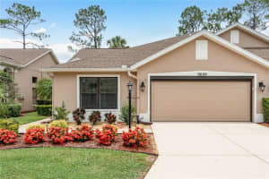 9609 BROOKDALE DRIVE, NEW PORT RICHEY, FL 34655 - MLS#MFRTB8400654