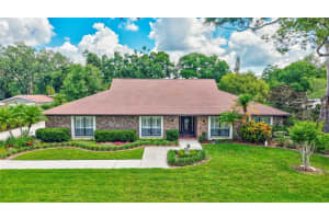 3923 Hudson Ln, TAMPA