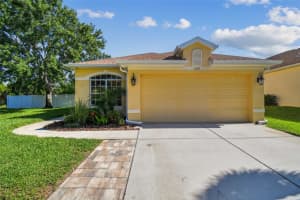 11125 SHELTER COVE LOOP, NEW PORT RICHEY, FL 34654 Sold 08/19/25