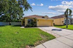 11125 SHELTER COVE LOOP, NEW PORT RICHEY, FL 34654 Sold 08/19/25