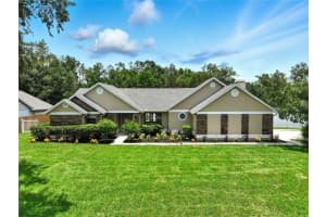 18522 Sunward Lake Pl, LUTZ