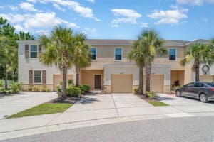 12841 Buffalo Run Dr, GIBSONTON