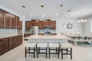8305 PRAISE DRIVE, TAMPA, FL 33625 Sold 10/17/25