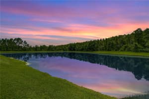 2957 HILLIARD DRIVE, WESLEY CHAPEL, FL 33543 - MLS#MFRTB8400725