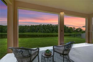 2957 HILLIARD DRIVE, WESLEY CHAPEL, FL 33543 - MLS#MFRTB8400725
