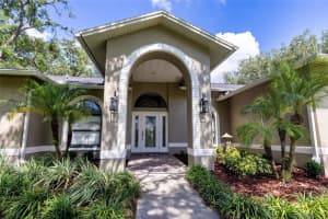 8901 EAGLE WATCH DRIVE, RIVERVIEW, FL 33578 - MLS#MFRTB8400765