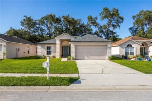 30260 Birdhouse Dr, WESLEY CHAPEL