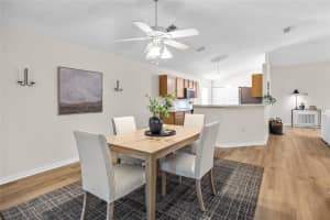 30260 BIRDHOUSE DRIVE, WESLEY CHAPEL, FL 33545 - MLS#MFRTB8400786