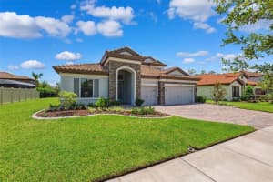 3999 BURDICK LOOP, ODESSA, FL 33556 - MLS#MFRTB8400806