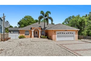 8105 N Grady Ave, TAMPA
