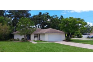 401 Fern Cliff Ave, TEMPLE TERRACE